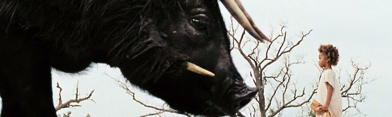 Article titled Beasts of the Southern Wild (2012)