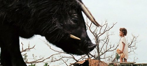 Article titled Beasts of the Southern Wild (2012)