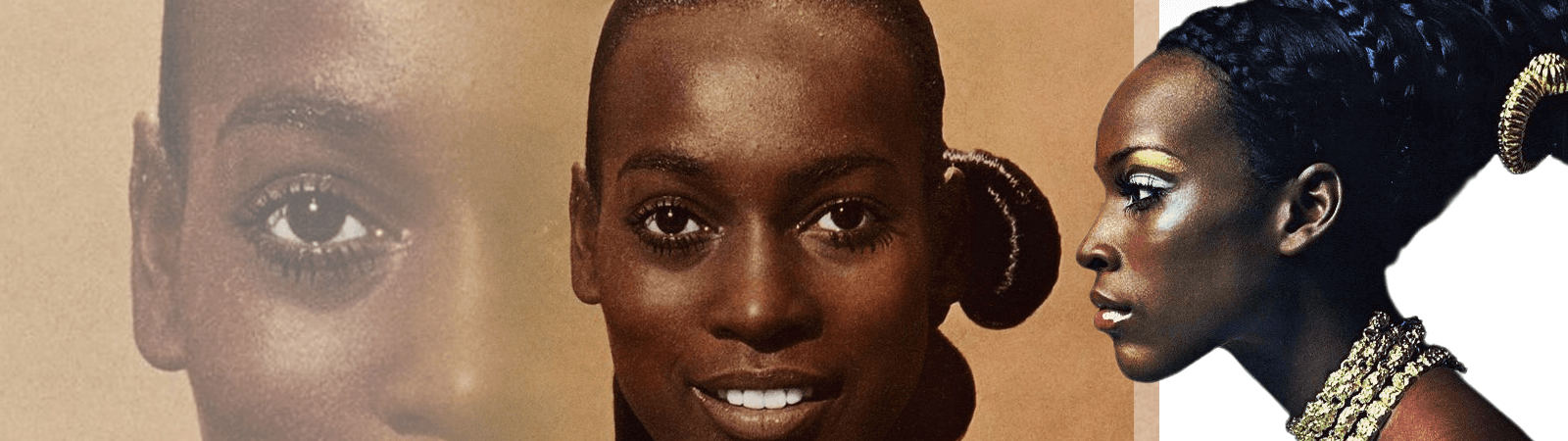 Article titled Naomi Sims