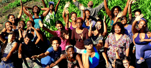 Article titled Soul Fire Farm