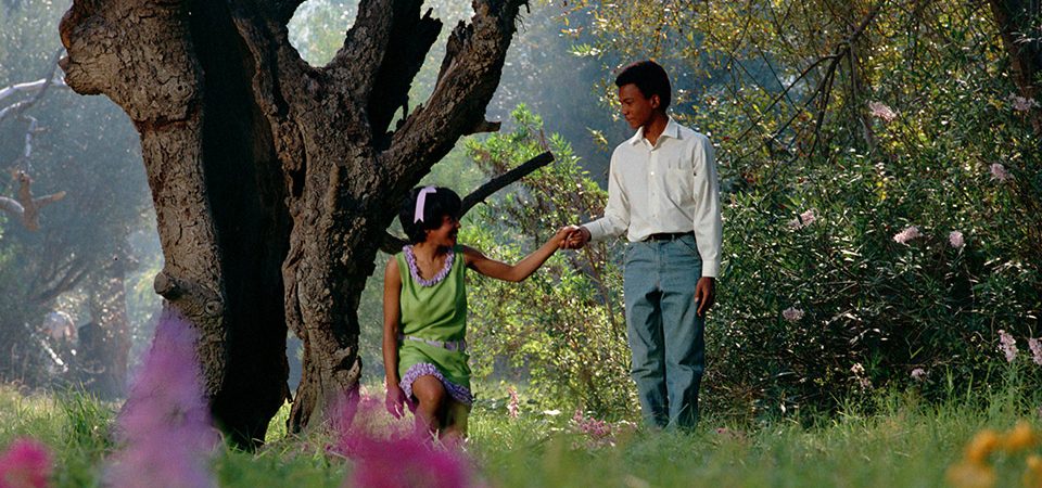 Article titled The Learning Tree (1969)